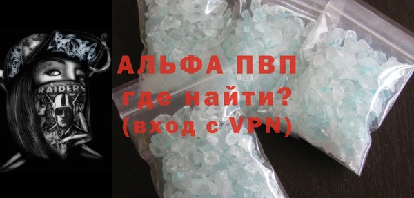 стафф Касимов