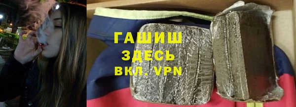 стафф Касимов