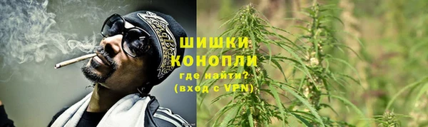 стафф Касимов
