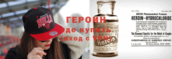 стафф Касимов