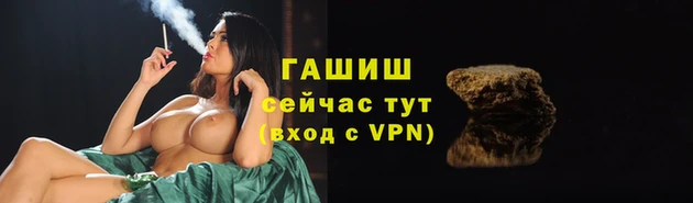 стаф Каменногорск