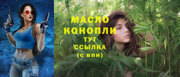 стафф Касимов