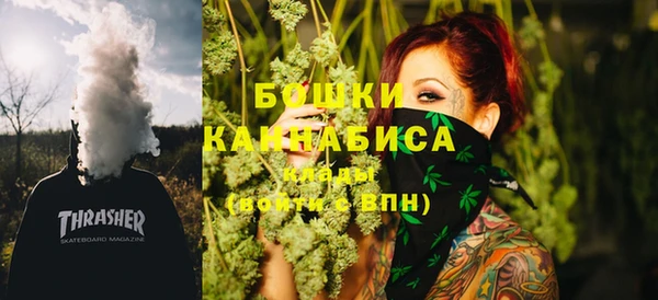 apvp Карпинск