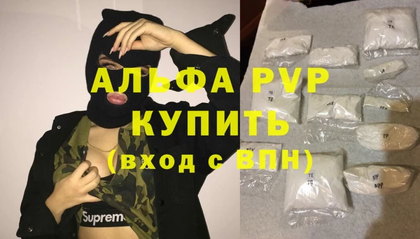 apvp Карпинск