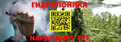 скорость Гай