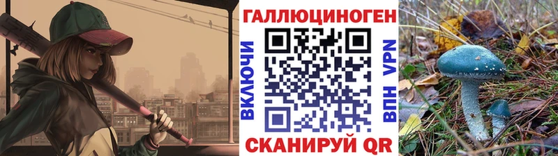 Галлюциногенные грибы GOLDEN TEACHER  Кемерово 