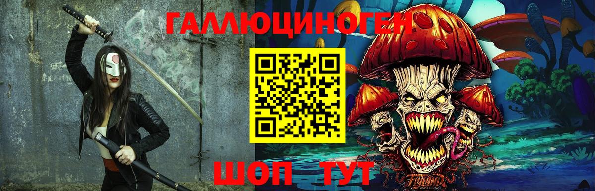 Галлюциногенные грибы Psilocybe Кемерово